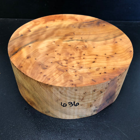 8"x3" Thuya Burl Wood Bowl Turning Blank (#00636)