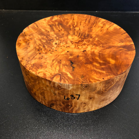 8"x3" Thuya Burl Wood Bowl Turning Blank (#00637)
