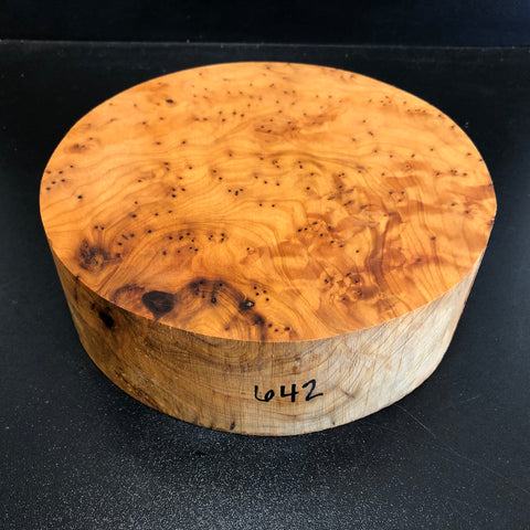 8x2.5 Thuya Burl Wood Bowl Turning Blank (#00642)