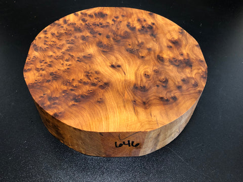 8"x2" Thuya Burl Wood Bowl Turning Blank (#00646)