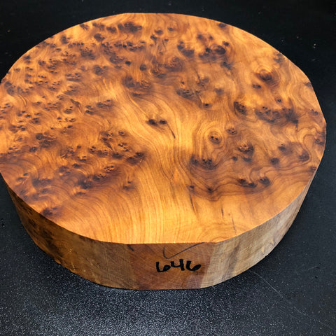 8"x2" Thuya Burl Wood Bowl Turning Blank (#00646)
