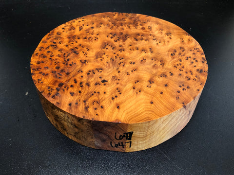 8"x2" Thuya Burl Wood Bowl Turning Blank (#00647)