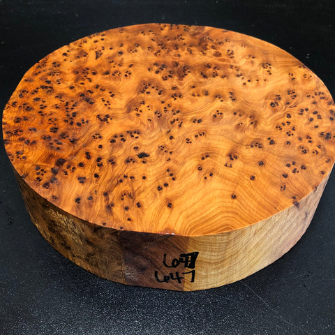 8"x2" Thuya Burl Wood Bowl Turning Blank (#00647)