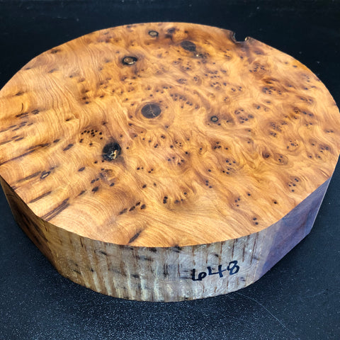 8"x2" Thuya Burl Wood Bowl Turning Blank (#00648)