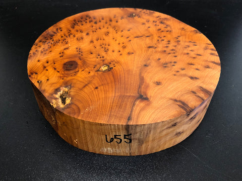 8"x2" Thuya Burl Wood Bowl Turning Blank (#00655)