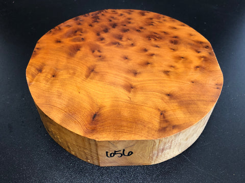 8"x2" Thuya Burl Wood Bowl Turning Blank (#00656)