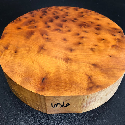 8"x2" Thuya Burl Wood Bowl Turning Blank (#00656)