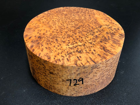 6"x3" Thuya Burl Wood Bowl Turning Blank (#00729)