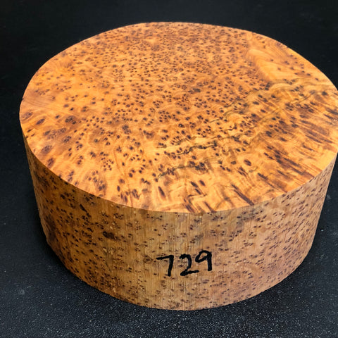 6"x3" Thuya Burl Wood Bowl Turning Blank (#00729)