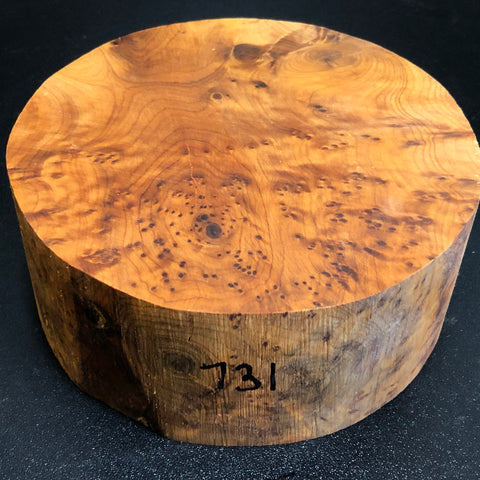 6"x3" Thuya Burl Wood Bowl Turning Blank (#00731)