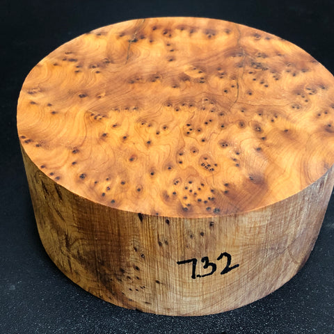 6"x3" Thuya Burl Wood Bowl Turning Blank (#00732)