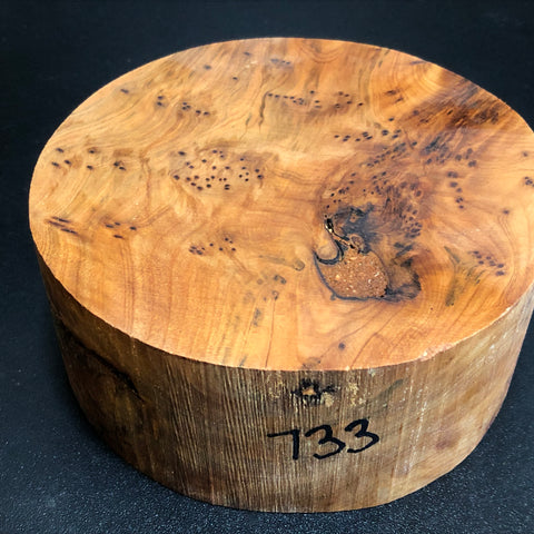 6"x3" Thuya Burl Wood Bowl Turning Blank (#00733)