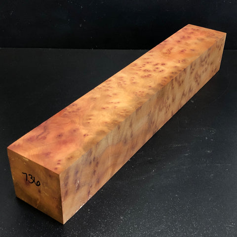 2.75x2.75x16" Camphor Burl Wood Spindle Turning Blank (#00736)