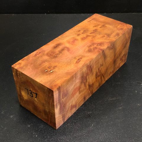 2.75x2.75x7.5" Camphor Burl Wood Spindle Turning Blank (#00737)