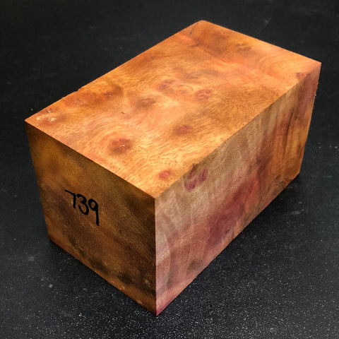 2.75x2.75x4.75" Camphor Burl Wood Spindle Turning Blank (#00739)
