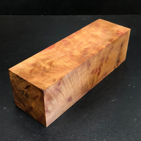 2.5x2.5x8" Camphor Burl Wood Spindle Turning Blank (#00741)