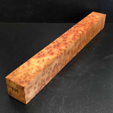 2"x2"x17" Camphor Burl Wood Spindle Turning Blank (#00744)