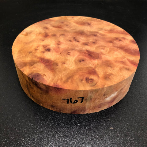 6.5x1.75 Camphor Burl Wood Bowl Turning Blank (#00767)