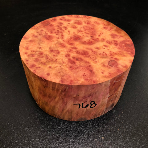 5x2.5 Camphor Burl Wood Bowl Turning Blank (#00768)