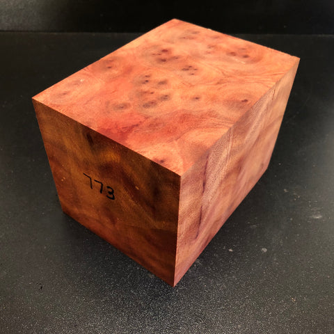 3.75x3.75x5" Camphor Burl Wood Spindle Turning Blank (#00773)