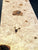 21"x8"x3" Maple Burl Wood Blank (#00997)