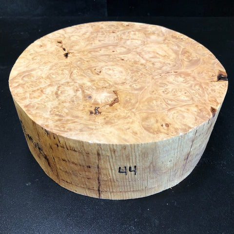 8"x3" KD Maple Burl Wood Bowl Turning Blank (#0044)