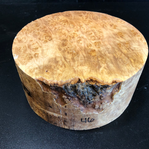 7"x3" KD Maple Burl Wood Bowl Turning Blank (#0046)
