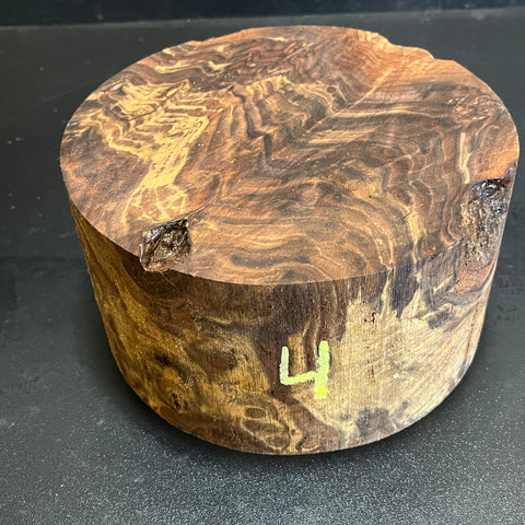 7"x4" Claro Walnut Burl Wood Bowl Turning Blank (#004)