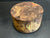 7"x4" Claro Walnut Burl Wood Bowl Turning Blank (#004)