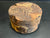 7"x4" Claro Walnut Burl Wood Bowl Turning Blank (#004)