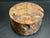 7"x4" Claro Walnut Burl Wood Bowl Turning Blank (#004)