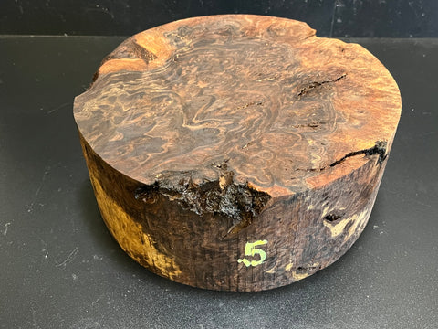 10"x4" Claro Walnut Burl Wood Bowl Turning Blank (#005)