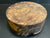 10"x4" Claro Walnut Burl Wood Bowl Turning Blank (#005)