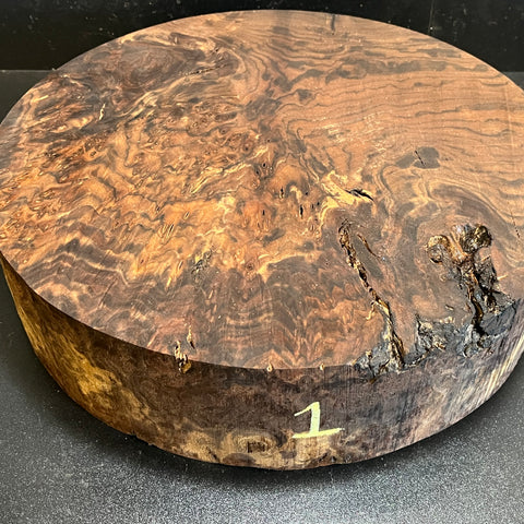 15"x4" Claro Walnut Burl Wood Bowl Turning Blank (#001)