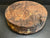 15"x4" Claro Walnut Burl Wood Bowl Turning Blank (#001)