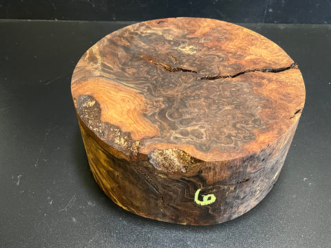 9"x4" Claro Walnut Burl Wood Bowl Turning Blank (#006)
