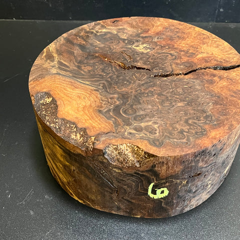 9"x4" Claro Walnut Burl Wood Bowl Turning Blank (#006)