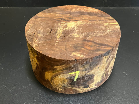 8"x4" Claro Walnut Burl Wood Bowl Turning Blank (#007)