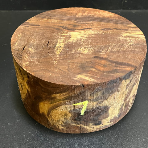 8"x4" Claro Walnut Burl Wood Bowl Turning Blank (#007)