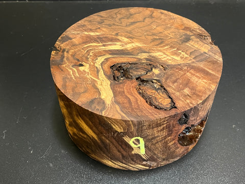 8"x4" Claro Walnut Burl Wood Bowl Turning Blank (#009)