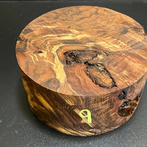 8"x4" Claro Walnut Burl Wood Bowl Turning Blank (#009)