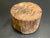 6"x4" Claro Walnut Burl Wood Bowl Turning Blank (#0010)
