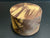 6"x4" Claro Walnut Burl Wood Bowl Turning Blank (#0011)