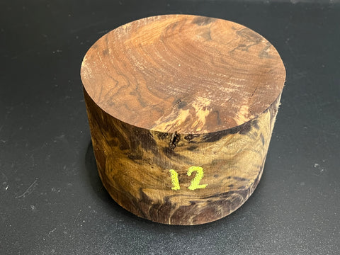 6"x4" Claro Walnut Burl Wood Bowl Turning Blank (#0012)