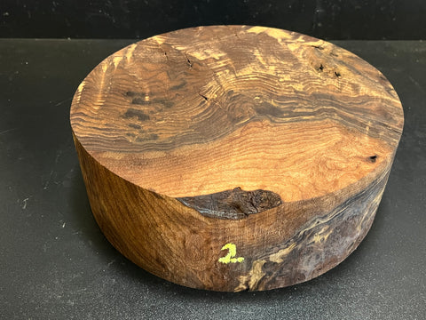 11"x4" Claro Walnut Burl Wood Bowl Turning Blank (#002)