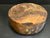 11"x4" Claro Walnut Burl Wood Bowl Turning Blank (#002)