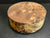 11"x4" Claro Walnut Burl Wood Bowl Turning Blank (#002)