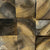 Rainbow Poplar Wood End Grain
