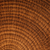 Torrefied Poplar Wood End Grain