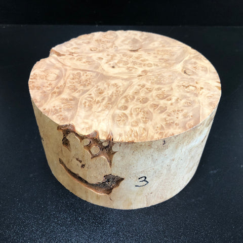 6"x3" KD Maple Burl Wood Bowl Turning Blank (#003)